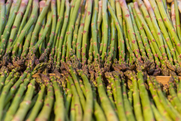 Lot d'asperges directement chez le producteur local, r&eacute;gion Occitanie, Sud de la France