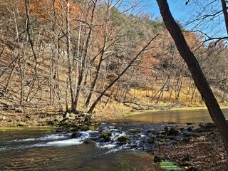 river in autumn