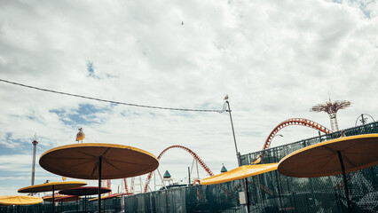 Seagulls perched on umbrellas at an amusement park