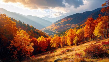 Fototapeta premium A scenic view of a valley filled with trees displaying vibrant fall foliage, with mountains in the background under a cloudy sky.