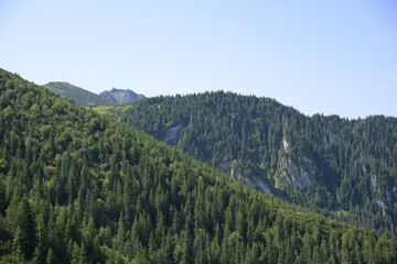 Spectacular views form the hiking trail through Boczan to Gasienicowa valley from Kuznice. Tatra National Park, Poland