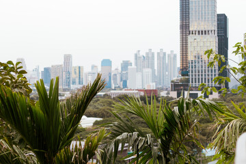 Naklejka premium Elevated view of Bangkok's modern skyline with high-rise buildings and skyscrapers. Lush tropical palm trees frame the dynamic cityscape, blending urban development with nature.