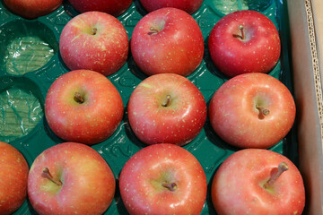 Apples grown in Japan's Iwate prefecture in a store in Tokyo.