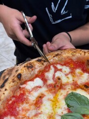 Artisanal pizza with a high, golden crust, with a light browning typical of wood-fired oven cooking. The center is filled with rich, flavorful toppings.
