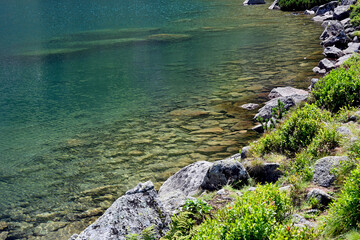 Rocks and greenery on the lake shore. Black Pond (polish: Czarny Staw Gasienicowy) – a glacial lake in the High Tatras, 1620 m above sea level. Tatra National Park, Poland. Summer time