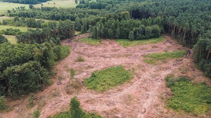 Contrast between dense forest and cleared land in deforestation aerial image