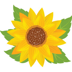 Bright Yellow Sunflower With Green Leaves Isolated On Transparent Background Realistic Detailed Petals And Dark Center