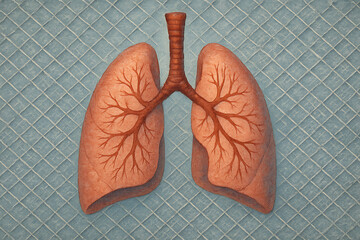 furnace filter air technician. A detailed illustration of human lungs, showcasing the bronchial tree structure, set against a textured blue background.