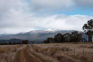 snow on a mountain over a farm, Cow herd below in a field grazing on grass. snowy hill above a farm in tasmania australia