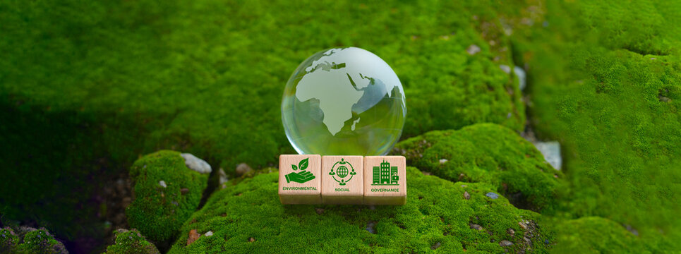 ESG investing and business growth with a focus on the environment