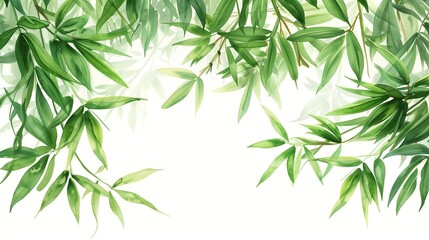 Fototapeta premium Green Bamboo Leaves Overhanging With White Background for Natural Design