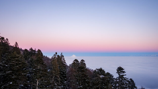 Snow-covered trees beneath pastel skies in Jura mountains