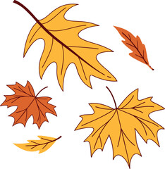 A collection of autumn leaves in various shapes and colors vector art