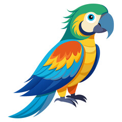 blue and yellow macaw