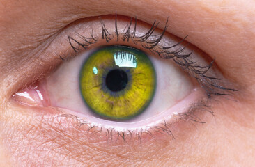 girl's yellow eye close up