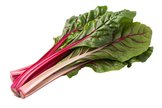 Vibrant Swiss Chard with Red Stems A Healthy and Nutritious Leafy Green Vegetable