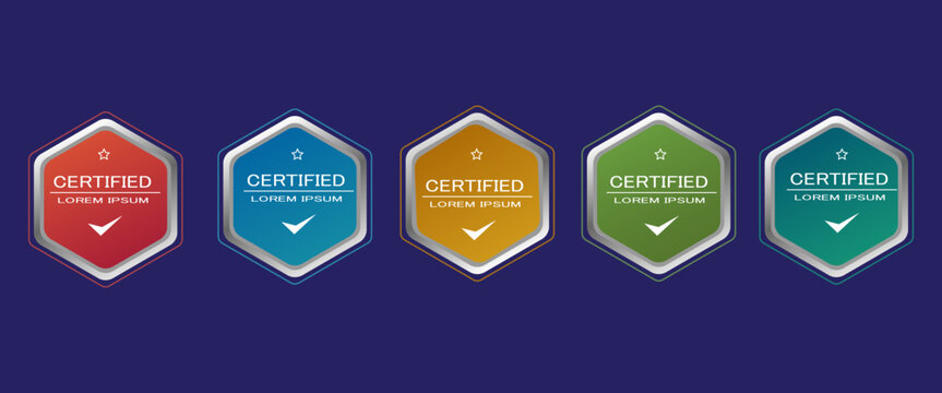 Certificate badge hexagon template vector illustration