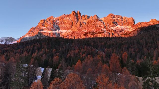aerial view of autumn larch forest in the Dolomites at sunrise, autumn mountain landscape near Lago di Federa in the Dolomite Apls, Cortina D'Ampezzo, South Tyrol, Dolomites, Italy