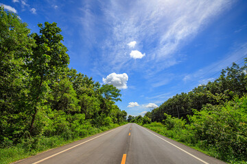 Green nature, sky, beautiful clouds