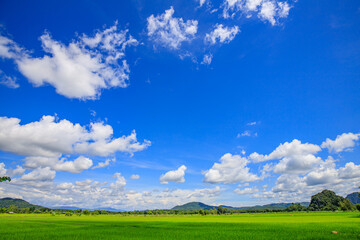 Green nature, sky, beautiful clouds