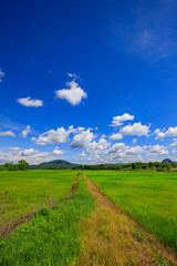 Green nature, sky, beautiful clouds
