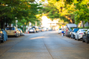 Green tree forest city village road