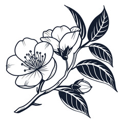 Camellia Flower Line Art with Buds and Veined Leaves
