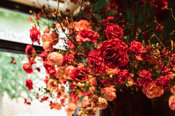 Sunlit red blooms enhance ambiance, Romantic scene featuring hanging roses illuminated by gentle sunlight