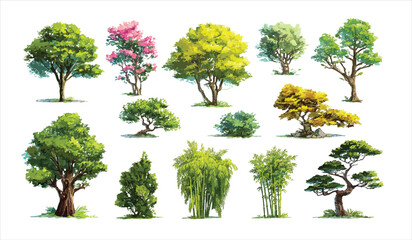 Diverse collection of illustrated trees and bamboo plants with green pink and yellow foliage on white background