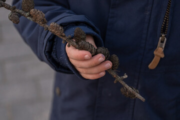 Child holding a pine cone branch during sensory outdoor play