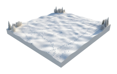 Winter footprints in snowy landscape nature scene aerial view isolated on transparent background