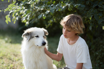 young boy gently pets old dog embodying respect and compassion in their interaction
