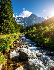 Clear mountain stream flowing through lush, green valley with towering peaks