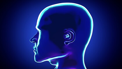 Male anatomy - head - side view - 3d illustration