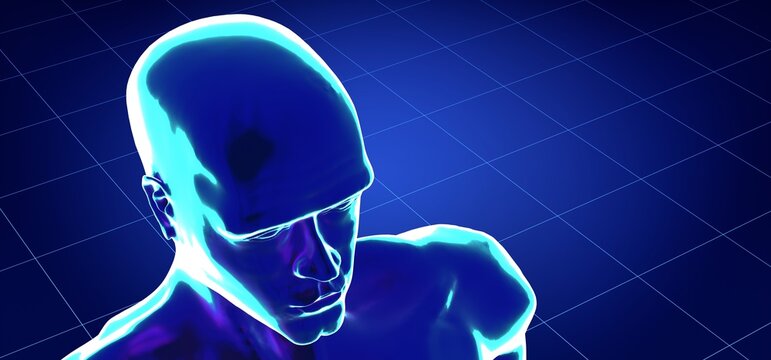 Male anatomy - head - 3d illustration