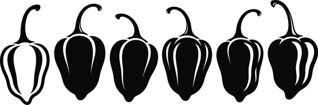 Habanero pepper vector illustration hot chili peppers spicy food art
