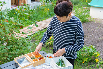 Woman preparing homemade herbal tea with fresh ingredients