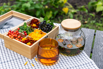 Homemade herbal tea with mint and colorful flowers