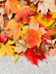 autumn leaves background