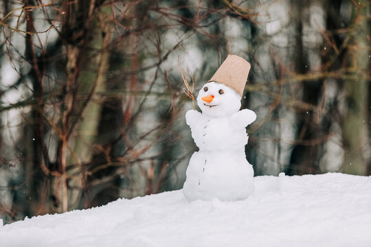 Small snowman with cone hat and carrot nose in snowy forest outdoors