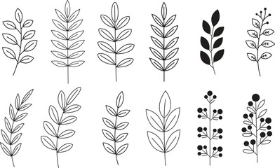 Collection of hand drawn botanical illustrations of various plant stems