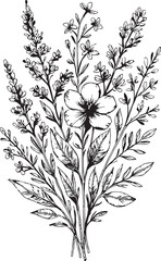 Botanical abstract line arts, hand drawn bouquets of herbs, flowers, leaves and branches, vector illustration