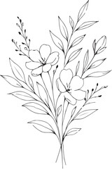 Botanical abstract line arts, hand drawn bouquets of herbs, flowers, leaves and branches, vector illustration