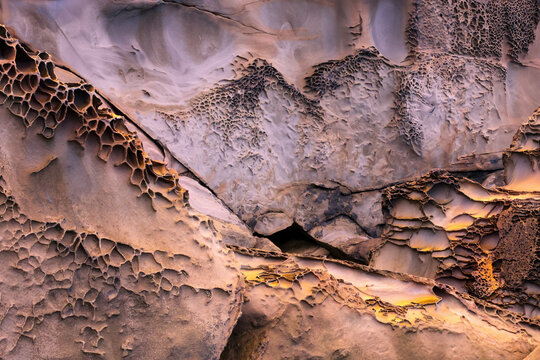 Intricate erosion forms on sandstone rocks in Asturias