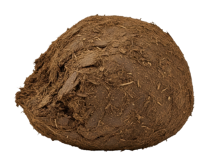 Natural cow manure ball farm field organic farming rural isolated on transparent background