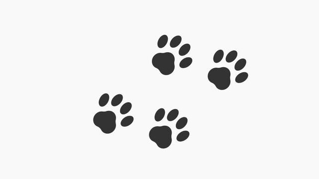 paw  icon animation simple flat