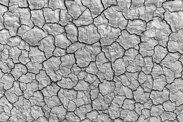 The background is dry and cracked soil,Dry mud soil land, cracked earth backdrop background well...