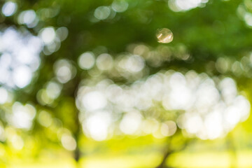 Green bokeh background from nature forest out of focus,Green bokeh out of focus background from nature forest.