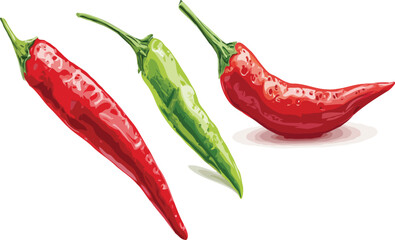 Chili vector art