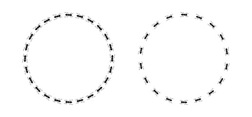 Ant frame of two circular trails, teamwork showing ants marching in a circle © Anastasiia